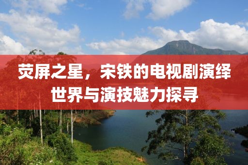 荧屏之星，宋铁的电视剧演绎世界与演技魅力探寻
