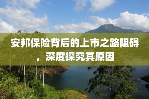 安邦保险背后的上市之路阻碍，深度探究其原因