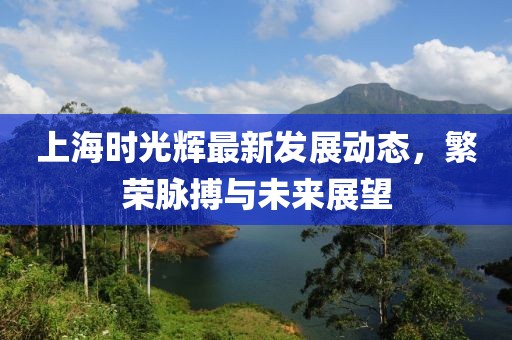 上海时光辉最新发展动态，繁荣脉搏与未来展望