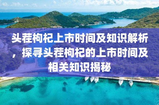 头茬枸杞上市时间及知识解析，探寻头茬枸杞的上市时间及相关知识揭秘