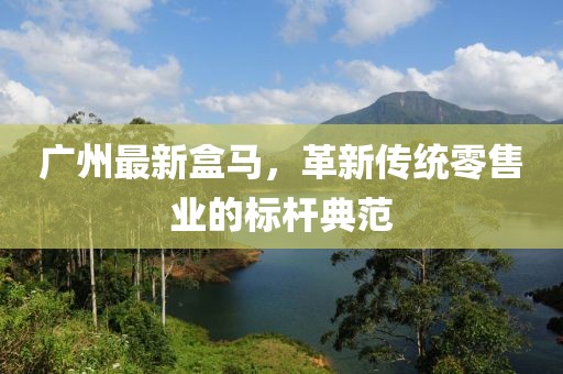 广州最新盒马，革新传统零售业的标杆典范