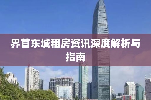 界首东城租房资讯深度解析与指南