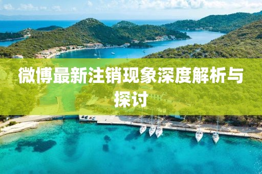 微博最新注销现象深度解析与探讨