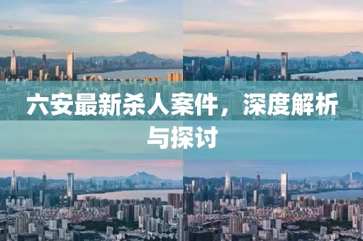 六安最新杀人案件，深度解析与探讨