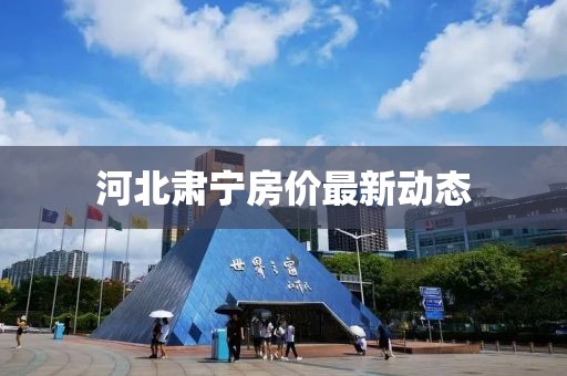 河北肃宁房价最新动态