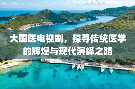 大国医电视剧，探寻传统医学的辉煌与现代演绎之路