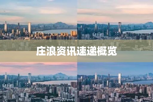 庄浪资讯速递概览