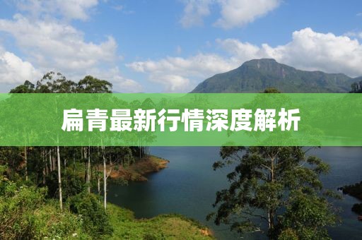 扁青最新行情深度解析