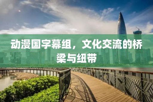 动漫国字幕组，文化交流的桥梁与纽带