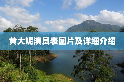 黄大妮演员表图片及详细介绍