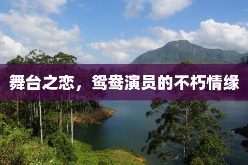 舞台之恋，鸳鸯演员的不朽情缘