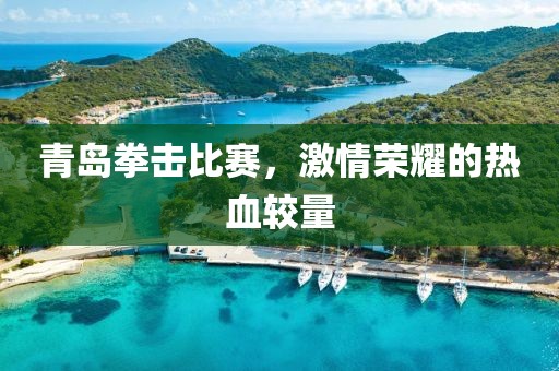 青岛拳击比赛，激情荣耀的热血较量