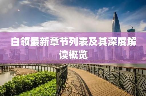 白领最新章节列表及其深度解读概览