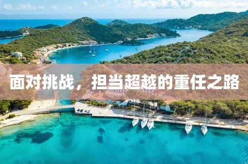 面对挑战，担当超越的重任之路