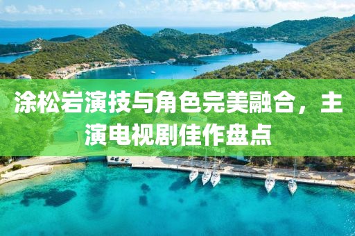 涂松岩演技与角色完美融合，主演电视剧佳作盘点