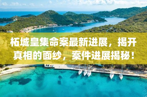 柘城皇集命案最新进展，揭开真相的面纱，案件进展揭秘！