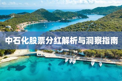 中石化股票分红解析与洞察指南