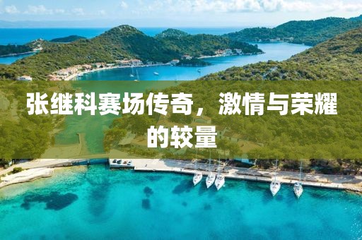 张继科赛场传奇，激情与荣耀的较量