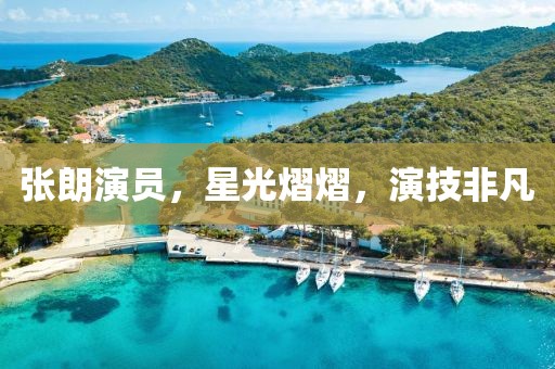 张朗演员，星光熠熠，演技非凡