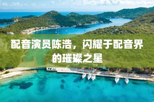 配音演员陈浩，闪耀于配音界的璀璨之星
