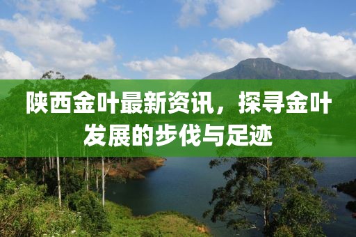 陕西金叶最新资讯，探寻金叶发展的步伐与足迹