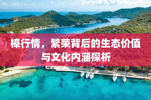 樟行情，繁荣背后的生态价值与文化内涵探析