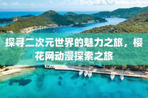 探寻二次元世界的魅力之旅，樱花网动漫探索之旅