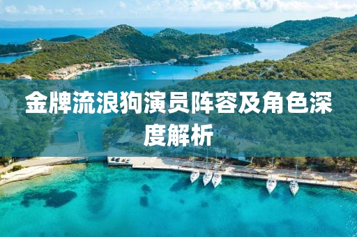 金牌流浪狗演员阵容及角色深度解析