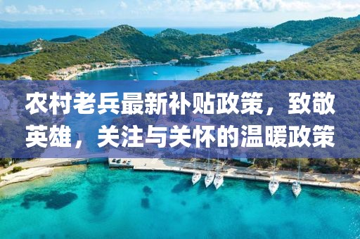 农村老兵最新补贴政策，致敬英雄，关注与关怀的温暖政策
