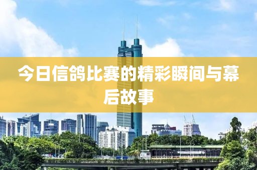今日信鸽比赛的精彩瞬间与幕后故事