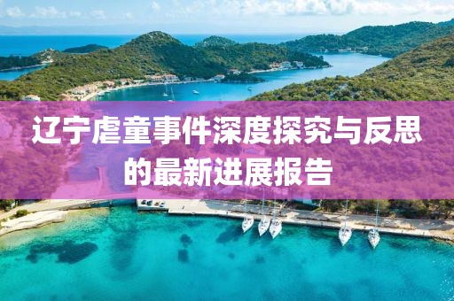 辽宁虐童事件深度探究与反思的最新进展报告