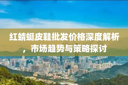 红蜻蜓皮鞋批发价格深度解析，市场趋势与策略探讨