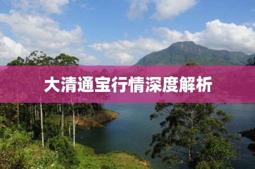 大清通宝行情深度解析