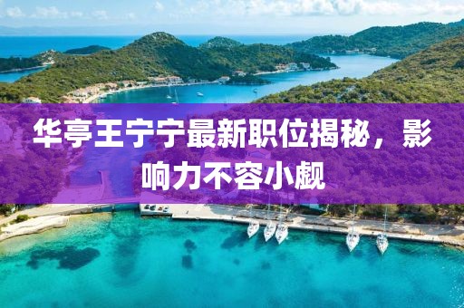 华亭王宁宁最新职位揭秘，影响力不容小觑
