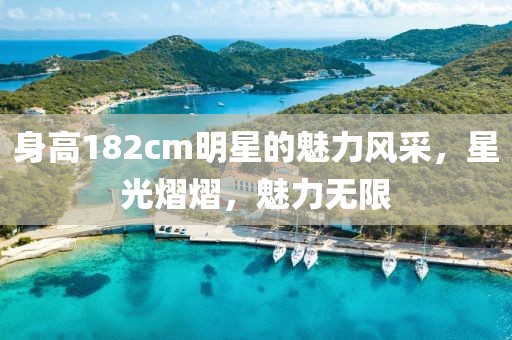 身高182cm明星的魅力风采，星光熠熠，魅力无限