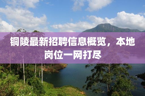 铜陵最新招聘信息概览，本地岗位一网打尽