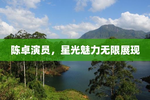 陈卓演员，星光魅力无限展现