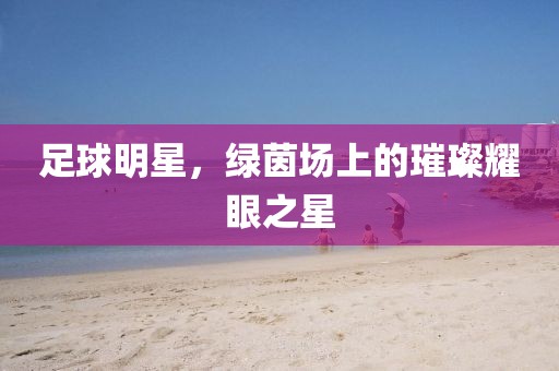 足球明星，绿茵场上的璀璨耀眼之星