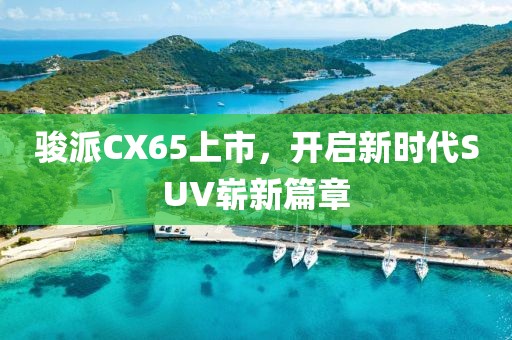 落幕未终场 第5页