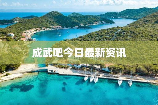 成武吧今日最新资讯