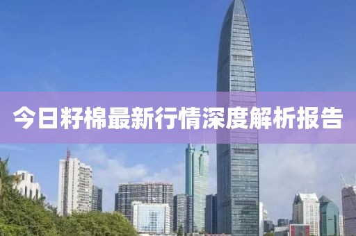 今日籽棉最新行情深度解析报告