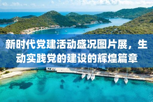新时代党建活动盛况图片展，生动实践党的建设的辉煌篇章