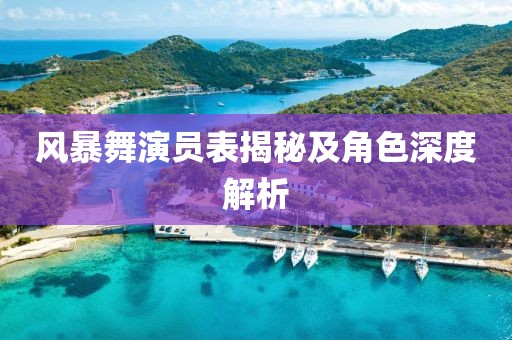 风暴舞演员表揭秘及角色深度解析