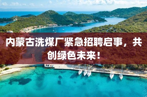 内蒙古洗煤厂紧急招聘启事，共创绿色未来！