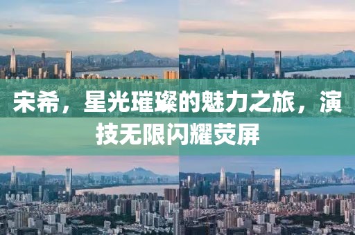 宋希，星光璀璨的魅力之旅，演技无限闪耀荧屏