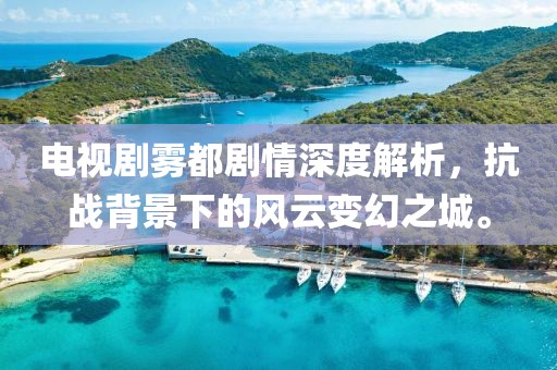 电视剧雾都剧情深度解析，抗战背景下的风云变幻之城。