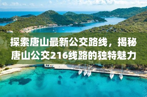 探索唐山最新公交路线，揭秘唐山公交216线路的独特魅力