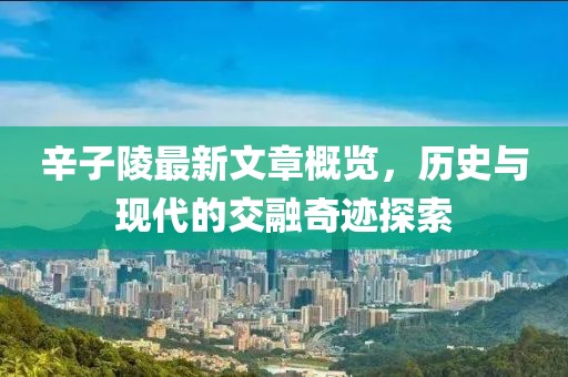 辛子陵最新文章概览，历史与现代的交融奇迹探索