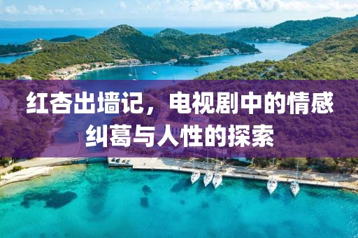 时光 第5页