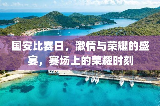 国安比赛日，激情与荣耀的盛宴，赛场上的荣耀时刻